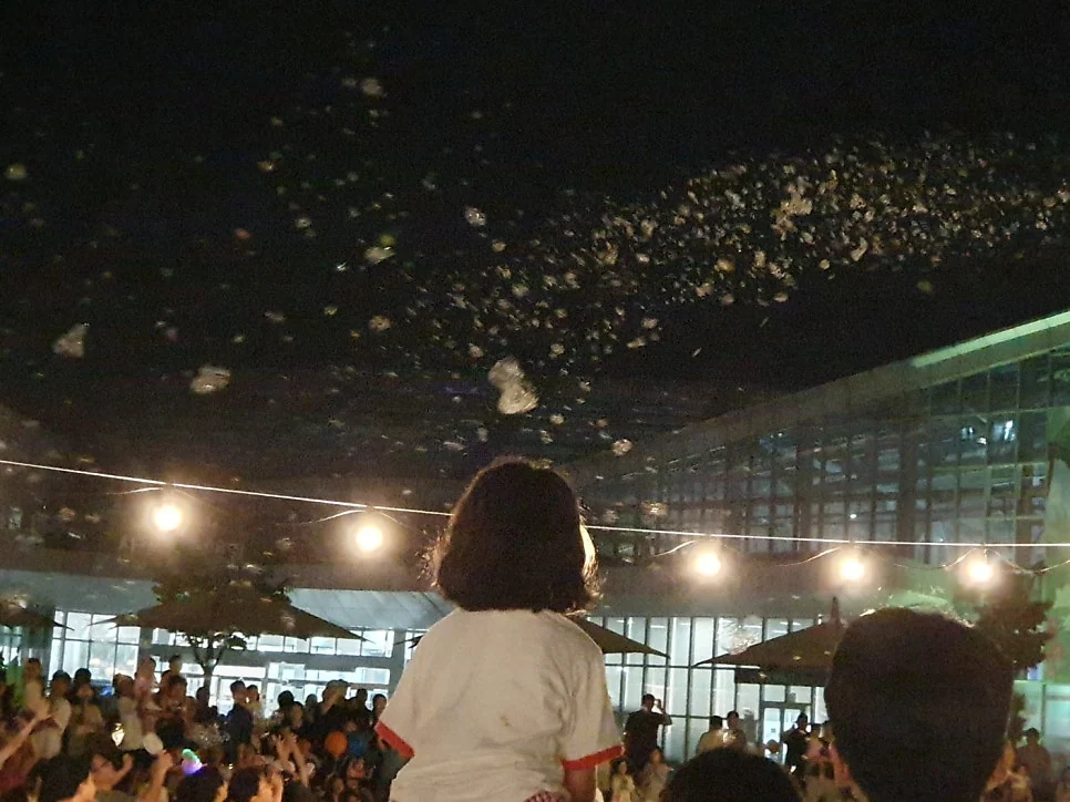 [세종 공연 후기] 국립세종수목원 수목원 축제 버블매직쇼